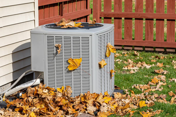 Best Air Quality Test  in Carson City, MI