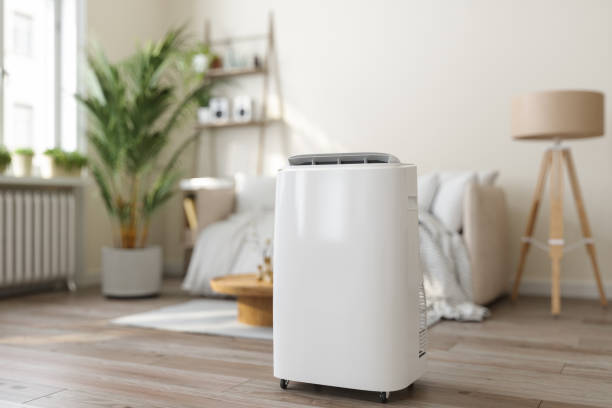 Best Ductless HVAC Repair  in Carson City, MI